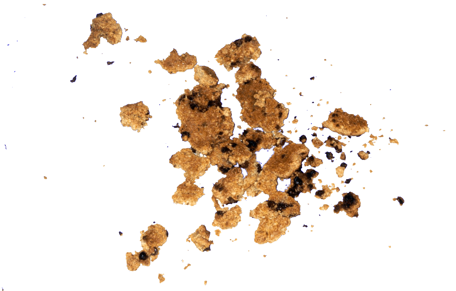 it's a cookie. no it's rat poison. it's a cookie. it's rat poison. it's a cookie you cow.