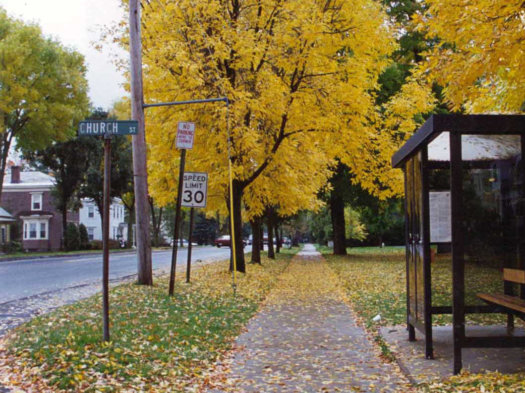 Williamstown Bus Stop (From My Car Window), by David K Lee (1996)